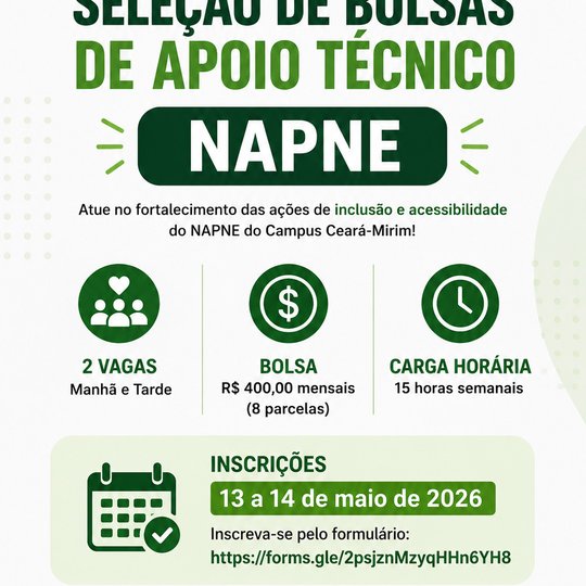 Apoio Técnico - NAPNE 2026