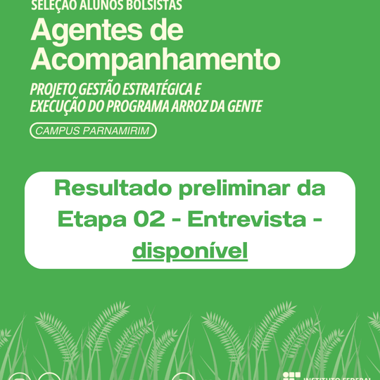 Resultado preliminar da Etapa 02 - Entrevista