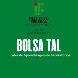 BOLSA (1)