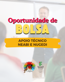 Bolsa Apoio Técnico