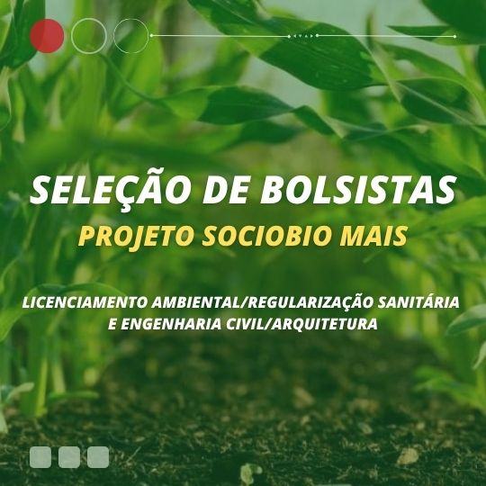 CAPAS (2).jpg