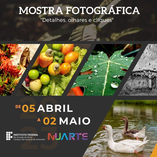 Programação da exposição