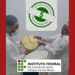 CST Alimentos conceito 5