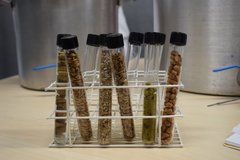 XI Expotec do Campus Nova Cruz / Foto: Myrtthes Almeida