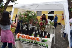 Feira Agroecológica Ipanguaçu 05-04-2023 - 7