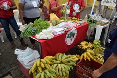 Feira Agroecológica Ipanguaçu 05-04-2023 - 2