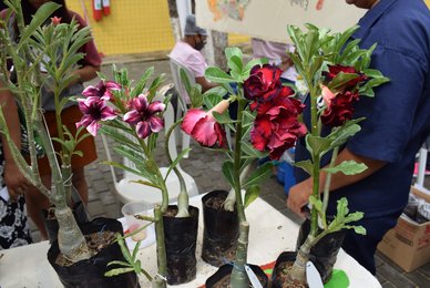 Feira Agroecológica Ipanguaçu 05-04-2023 - 4