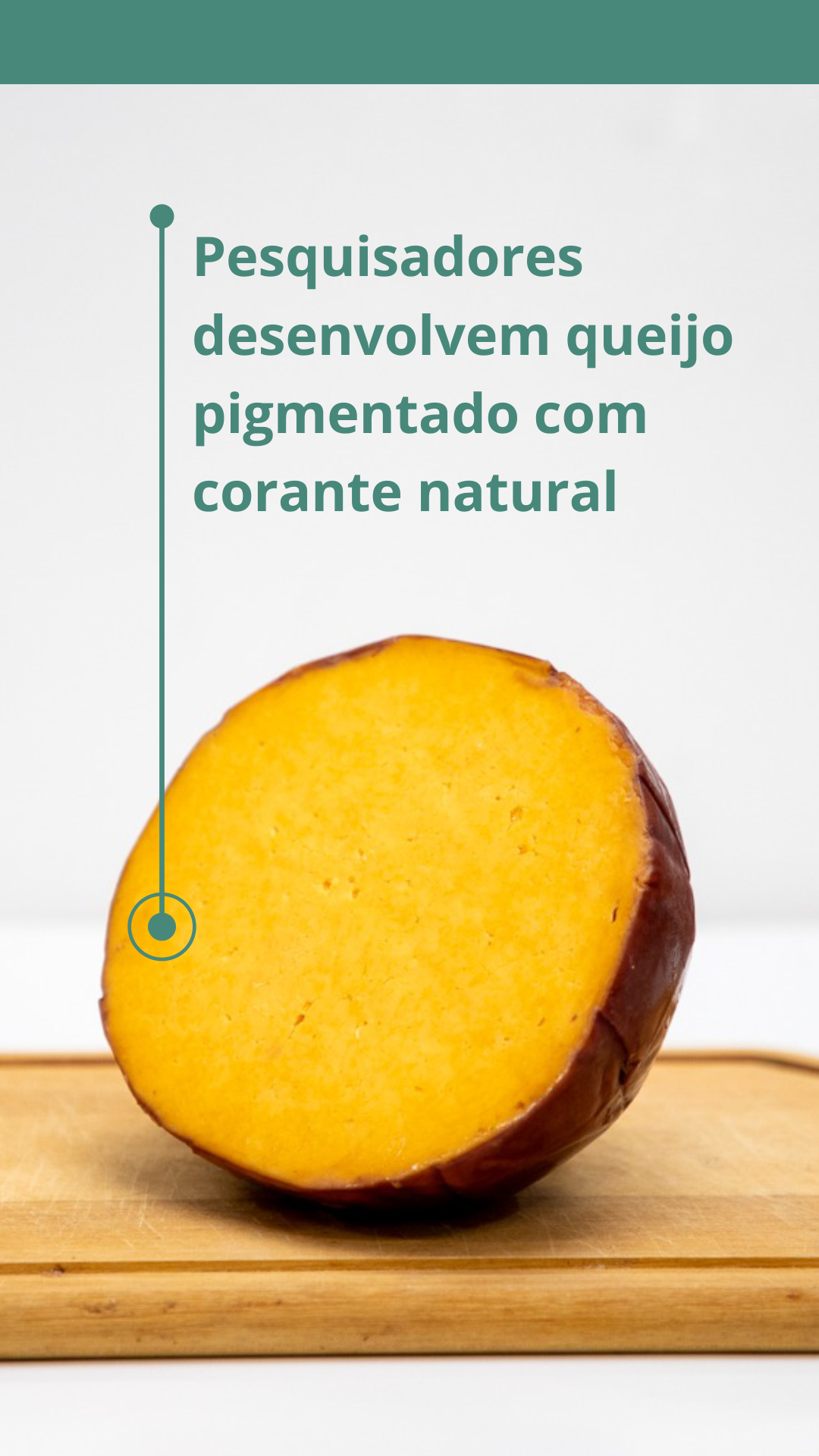 Destaque desenvolvimento queijo pigmentado com corante natural