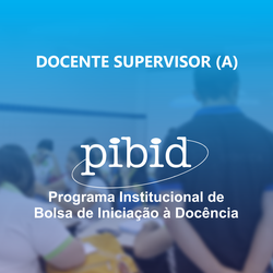 Docente supervisor do Pibid