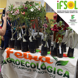 Feira Agroecológica Ipanguaçu 05-04-2023