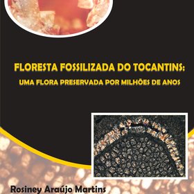 Floresta fossilizada do Tocantins
