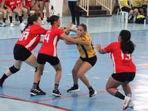 Handebol [fotos de César Moura] (4)