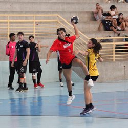 Handebol [fotos de César Moura] (capa)