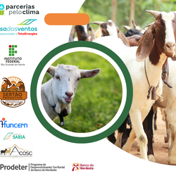 Apresentação do curso de manejo reprodutivo