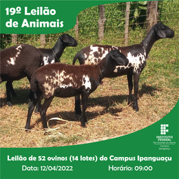 19º Leilão de Animais - página principal