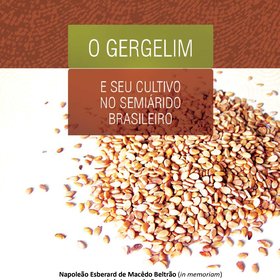 O gergelim e seu cultivo no semiárido brasileiro