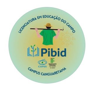 Pibid