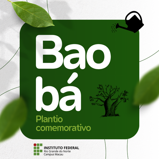 Plantio de baobá