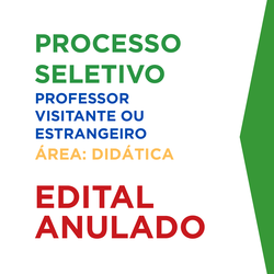 Professor Visitante - Didática_Capa Matéria