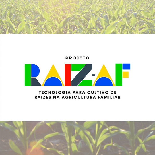 Raiz AF notícia