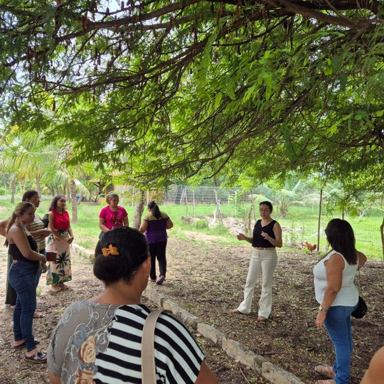 VISITA AO SETOR DE AVICULTURA.jpeg