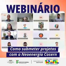 Webnário Neoenergia_Portal