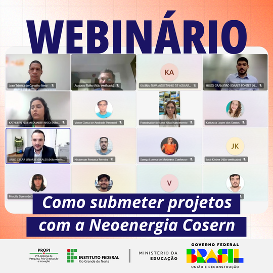 Webnário Neoenergia_Portal
