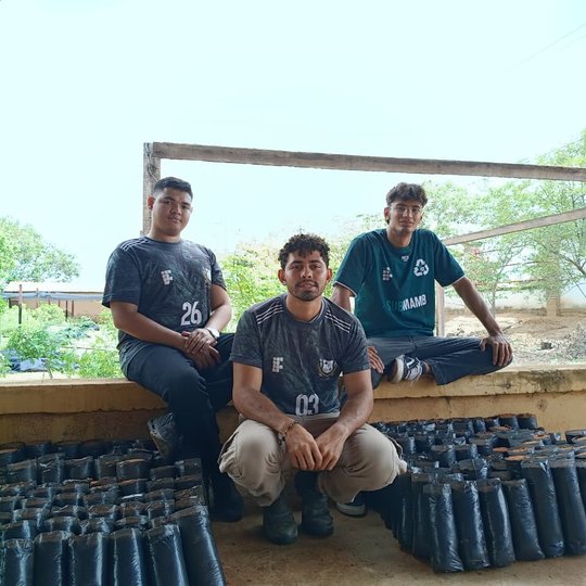 Trabalho de produção de mudas