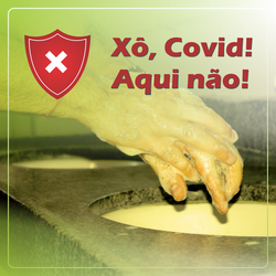 Xô Covid-19