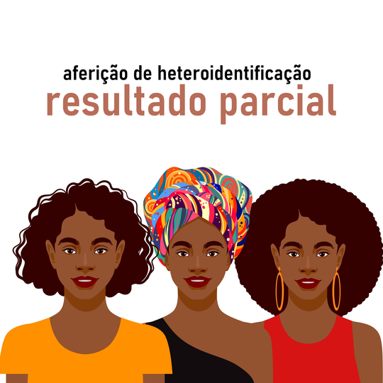 Aferição de heteroidentificação
