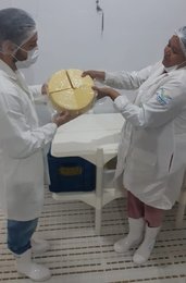 avaliação in loco 33333