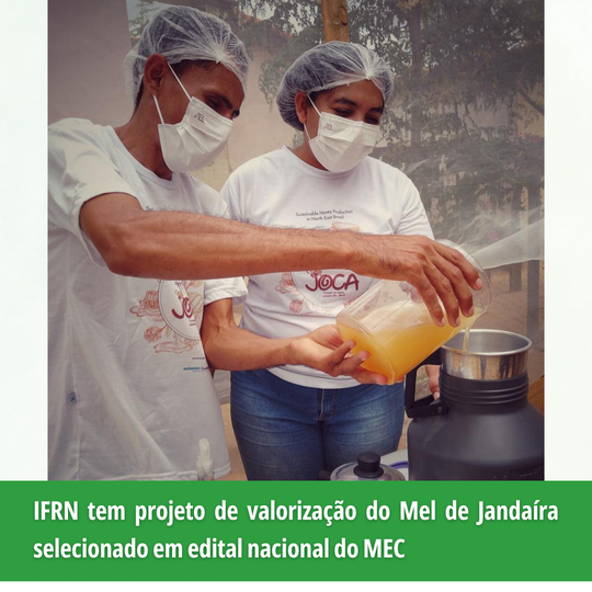 Projeto Mel Jandaíra JC Indicações Geográficas