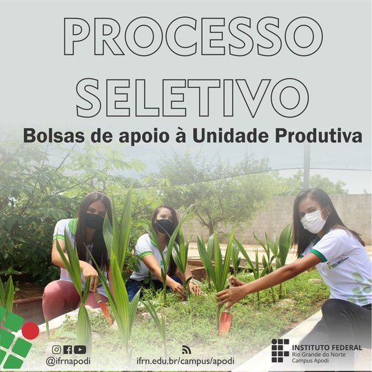 seleção fazenda site